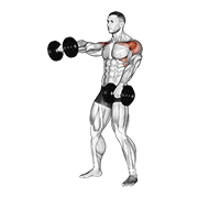 Dumbbell Standing Alternate Raise demonstration animation