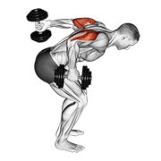 Dumbbell Standing Alternating Tricep Kickback demonstration animation