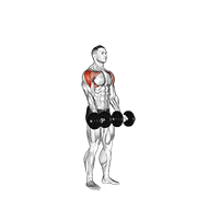 Dumbbell Standing Around World demonstration animation
