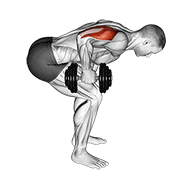 Dumbbell Standing Bent Over One Arm Triceps Extension demonstration animation