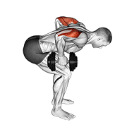 Dumbbell Standing Bent Over Two Arm Triceps Extension demonstration animation