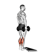 Dumbbell Standing Calf Raise demonstration animation