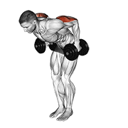 Dumbbell Standing Kickback demonstration animation