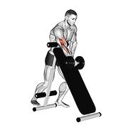 Dumbbell Standing One Arm Curl Over Incline Bench demonstration animation