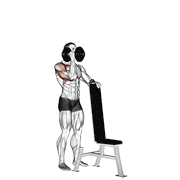 Dumbbell Standing One Arm Palm In Press demonstration animation