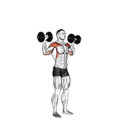 Dumbbell Standing Overhead Press demonstration animation
