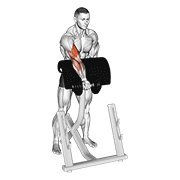 Dumbbell Standing Zottman Preacher Curl demonstration animation