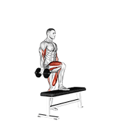 Dumbbell Step Up Single Leg Balance With Bicep Curl demonstration animation