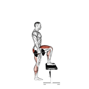 Dumbbell Step Up demonstration animation