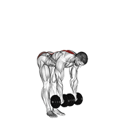 Dumbbell Straight Leg Deadlift demonstration animation