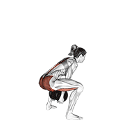 Dumbbell Sumo Pull Through demonstration animation
