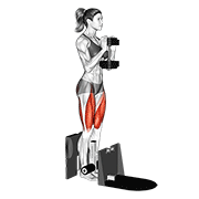 Dumbbell Supported Squat demonstration animation