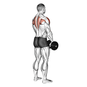 Dumbbell Upright Row Back Pov demonstration animation