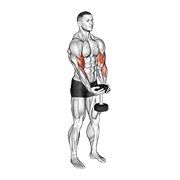 Dumbbell Waiter Biceps Curl demonstration animation