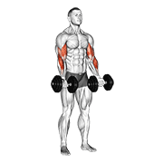 Dumbbell Zottman Curl demonstration animation