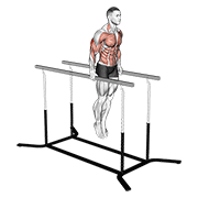 Elbow Dips demonstration animation