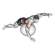 Exercise Ball Alternating Arm Ups demonstration animation