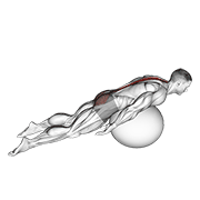 Exercise Ball Back Extension With Knees Off Ground demonstration animation