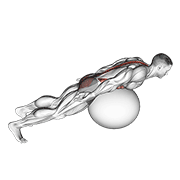 Exercise Ball Back Extension With Rotation demonstration animation
