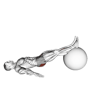 Exercise Ball One Legged Diagonal Kick Hamstring Curl demonstration animation