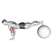 Exercise Ball Pike Push Up demonstration animation