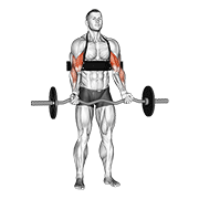 Ez Bar Biceps Curl With Arm Blaster demonstration animation