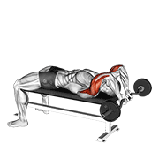 Ez Bar Lying Close Grip Triceps Extension Behind Head demonstration animation