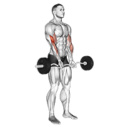 Ez Barbell Close Grip Curl demonstration animation