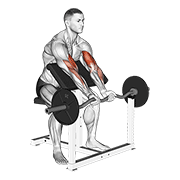 Ez Barbell Close Grip Preacher Curl demonstration animation