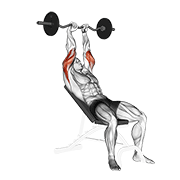 Ez Barbell Incline Triceps Extension demonstration animation