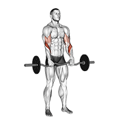 Ez Barbell Reverse Grip Curl demonstration animation