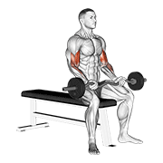 Ez Barbell Seated Curls demonstration animation