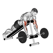 Ez Barbell Spider Curl demonstration animation