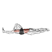 Flexion Leg Sit Up Bent Knee demonstration animation