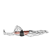Flexion Leg Sit Up Straight Arm demonstration animation