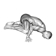 Frog Planche demonstration animation
