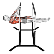 Front Lever Reps demonstration animation