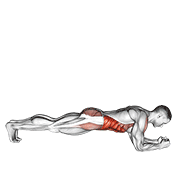 Front Plank With Twist demonstration animation