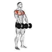 Front Raise demonstration animation