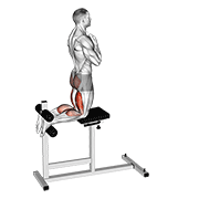 Glute Ham Raise demonstration animation