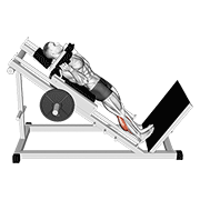 Hack Calf Raise demonstration animation