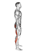 Half Splits Pose demonstration animation