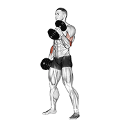 Hammer Curl demonstration animation