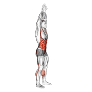 Hands Reversed Clasped Circular Toe Touch demonstration animation