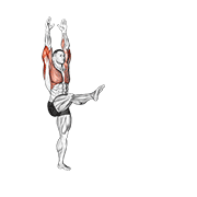 Handstand demonstration animation