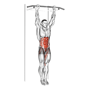 Hanging Leg Hip Raise demonstration animation