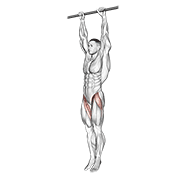 Hanging Leg Raise demonstration animation