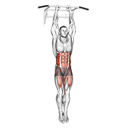 Hanging Oblique Knee Raise demonstration animation