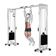Hanging Straight Leg Hip Raise demonstration animation