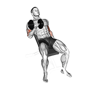 Incline Curl demonstration animation